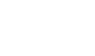tripadvisor-icon-owl
